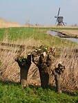 Natuurgebied De Donkse Laagten....