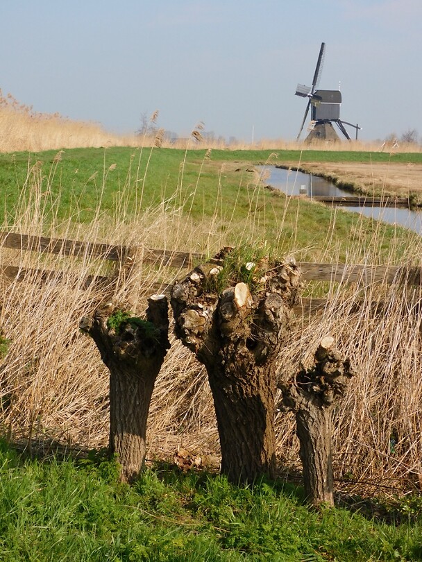 Natuurgebied De Donkse Laagten....
