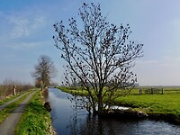 De Donkse Laagten.....