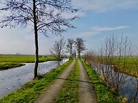 De polder.....