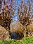 De Boezem....