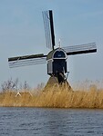 De Broekmolen....