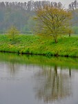 Spiegelbeeld.....