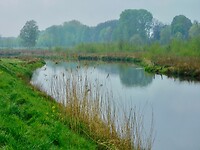 Essche Stroom.....
