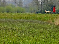 Rondje Dommel en Essche Stroom.....