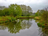 Essche Stroom.....