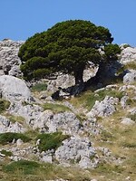 Parnassos gebergte…..