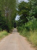 Het weggetje naar de camperplaats bij Prossotsani…..