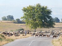 Onderweg…..