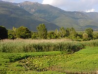 Mount Bellas…..