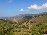 IMG_6138