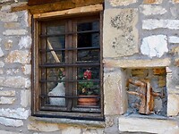 IMG_6139