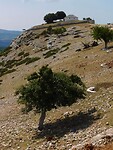 IMG_6141