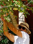 IMG_6143
