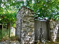 IMG_6145