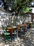IMG_6146