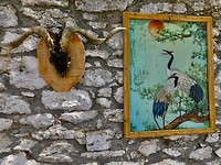IMG_6147