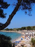 IMG_6158