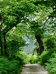 IMG_6160