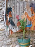IMG_6162