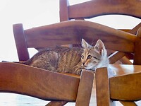 IMG_6166