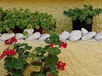 IMG_6171