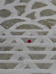 IMG_6172