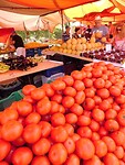 IMG_6179