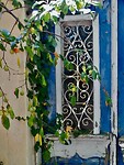 IMG_6180