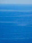 IMG_6183