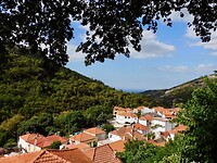 IMG_6250