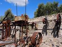IMG_6255