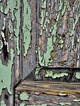 IMG_6258