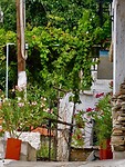 IMG_6259