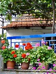 IMG_6261