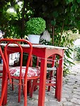 IMG_6264