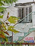 IMG_6265