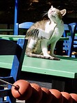 IMG_6269