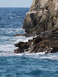 IMG_6272