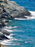 IMG_6277