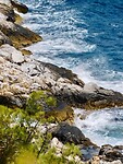 IMG_6279