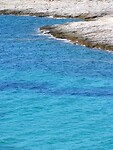 IMG_6281