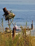 IMG_6381