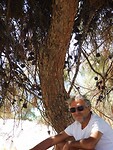 IMG_6386