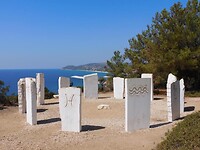 IMG_6388