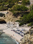 IMG_6390