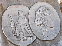 IMG_6392