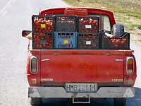 IMG_6449