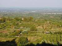 Uitzicht vanuit de stad Naoussa op de omgeving……