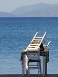 IMG_6478